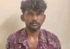 தூத்துக்குடியில் கொலை, கொள்ளை உள்ளிட்ட 30-க்கும் மேற்பட்ட வழக்குகளில் தொடர்புடைய பிரபல ரவுடியைப் போலீசார் துப்பாக்கியால் சுட்டுப் பிடித்தனர்.