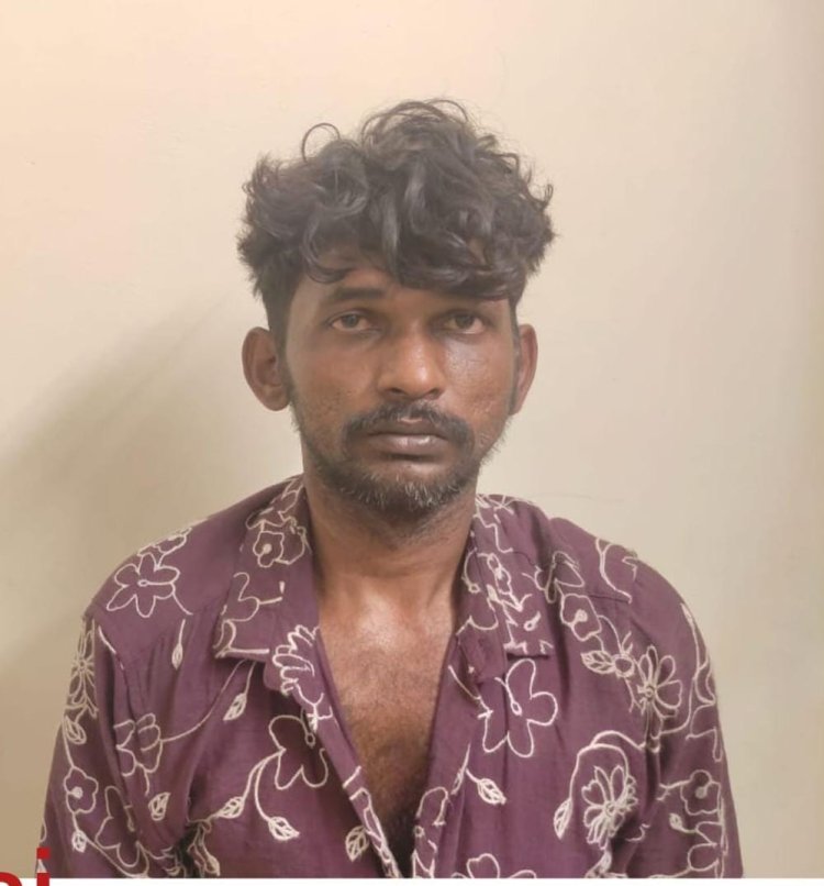 தூத்துக்குடியில் கொலை, கொள்ளை உள்ளிட்ட 30-க்கும் மேற்பட்ட வழக்குகளில் தொடர்புடைய பிரபல ரவுடியைப் போலீசார் துப்பாக்கியால் சுட்டுப் பிடித்தனர்.