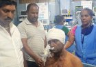 தூத்துக்குடியில் காங்கிரஸ் பிரமுகா்கள் மீது தொடா்தாக்குதல் மாநில அளவில் போராட்டம் நடத்தப்படும் மாவட்ட தலைவர் சகாயராஜ் கண்டன அறிக்கை