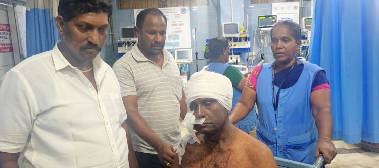 தூத்துக்குடியில் காங்கிரஸ் பிரமுகா்கள் மீது தொடா்தாக்குதல் மாநில அளவில் போராட்டம் நடத்தப்படும் மாவட்ட தலைவர் சகாயராஜ் கண்டன அறிக்கை