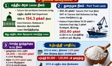 தூத்துக்குடியில் மத்திய அரசுக்கு சொந்தமான நிலங்களில் உப்பு உற்பத்தி : தொழிலதிபர்கள் மிகப்பெரிய கோடீஸ்வரர்களானர்.