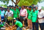 புனித மரியன்னை ஆண்கள் மேல்நிலைப் பள்ளி NSS சார்பில் மரக்கன்றுகள் நடுதல் மற்றும் விழிப்புணர்வு நிகழ்ச்சி