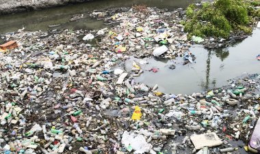 தூத்துக்குடி பக்கிள் ஓடை விரிவாக்கம் பலன் தருமா? கடல் மட்டத்தை விட தாழ்வான நிலப்பரப்பு - வல்லுநர்கள் எச்சரிக்கை!