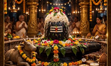 ஸ்ரீசித்தர் பீடத்திலுள்ள குரு மகாலிங்கேஸ்வரருக்கு அன்னாபிஷேக விழா கோலாகலம்..!