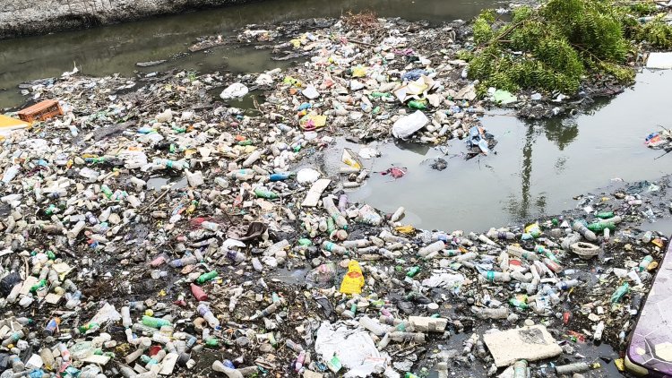 தூத்துக்குடி பக்கிள் ஓடை விரிவாக்கம் பலன் தருமா? கடல் மட்டத்தை விட தாழ்வான நிலப்பரப்பு - வல்லுநர்கள் எச்சரிக்கை!